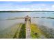 Aerial view of a wooden dock extending into a tranquil body of water, offering serene views at 2076 Rookery Ln, Charleston, SC 29414