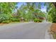 Scenic entrance to a community with lush greenery and a well-maintained road at 2076 Rookery Ln, Charleston, SC 29414