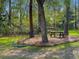 Serene outdoor setting with a swing, picnic table, and benches nestled under mature trees at 2076 Rookery Ln, Charleston, SC 29414