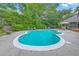 A large kidney-shaped pool offers a peaceful retreat, complete with outdoor dining and lounge chairs amidst lush greenery at 2120 Fife Ln, Charleston, SC 29414