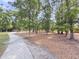 Shaded view of a concrete path through the community leading to wooded and residential areas at 2844 Pinelog Ln, Johns Island, SC 29455