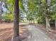 Wooded view of a concrete path through the community leading to residential homes at 2844 Pinelog Ln, Johns Island, SC 29455