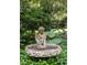 Close-up of a vintage-style cherub fountain surrounded by vibrant greenery, adding a touch of elegance to the landscape at 34 Formosa Dr, Charleston, SC 29407