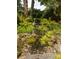 Zen garden featuring a calming creek surrounded by lush ferns at 34 Formosa Dr, Charleston, SC 29407