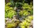 Landscaped yard featuring a small waterfall flowing into a stream surrounded by lush ferns and greenery at 34 Formosa Dr, Charleston, SC 29407