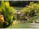 Backyard water feature includes rocks, plants, and flowing water at 34 Formosa Dr, Charleston, SC 29407