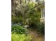 Landscaped yard featuring beautiful hydrangeas and lush ferns along a stone pathway, enhancing the property's appeal at 34 Formosa Dr, Charleston, SC 29407