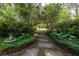 Pathway leading through lush landscaping, creating a serene and inviting pathway into the home and property at 34 Formosa Dr, Charleston, SC 29407