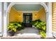Inviting front porch with plants, stylish lighting, and a painted ceiling at 3413 Acorn Drop Ln, Johns Island, SC 29455