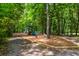 Community playground featuring slides, climbing structures, and a mulched play area nestled among mature trees at 3413 Acorn Drop Ln, Johns Island, SC 29455