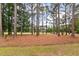 Expansive backyard with mature trees, offering a serene and private outdoor space at 3601 Colonel Vanderhorst Cir, Mount Pleasant, SC 29466