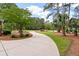 Curving concrete driveway leads to a beautifully landscaped yard with mature trees at 3601 Colonel Vanderhorst Cir, Mount Pleasant, SC 29466