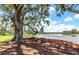 Picturesque waterfront view with mature trees, seating, and peaceful surroundings, perfect for relaxation at 3601 Colonel Vanderhorst Cir, Mount Pleasant, SC 29466