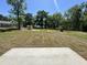 Expansive backyard with newly planted grass, bordered by mature trees, and ready for outdoor enjoyment at 4147 Rising Tide Dr, Summerville, SC 29485