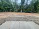 Muddy backyard with wooded perimeter provides privacy and potential landscaping opportunities at 4147 Rising Tide Dr, Summerville, SC 29485