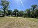 Wide open backyard with budding grass, bordered by a line of mature trees on a sunny day at 4147 Rising Tide Dr, Summerville, SC 29485