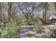 Explore this backyard with a gravel path winding through lush trees and beautiful native shrubbery at 4233 Lady Banks Ln, Ravenel, SC 29470