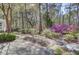 A stone and brick path leads through a beautiful, lush backyard with azaleas and mature trees at 4233 Lady Banks Ln, Ravenel, SC 29470