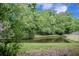 A backyard showcases a peaceful pond surrounded by lush greenery, creating a tranquil outdoor space at 5406 Woodbreeze Dr, North Charleston, SC 29420