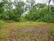 Secluded wooded area with mature trees and open space at 9489 Sidneys Rd, Round O, SC 29474