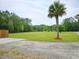 Expansive grassy yard featuring ample space, mature palm tree, and a gravel area at 9489 Sidneys Rd, Round O, SC 29474