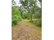Overgrown open area with abundant greenery at 9489 Sidneys Rd, Round O, SC 29474