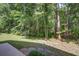 Backyard extends into lush green woodland with mature trees offering natural shade at 9624 Scarborough Ct, Summerville, SC 29485