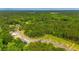 Scenic aerial view of lush green trees and a sprawling neighborhood showing a picturesque and private setting at 1052 Crescent Cove Ln, Summerville, SC 29483