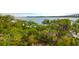Scenic waterfront view framed by lush greenery and Spanish moss draped trees, offering serene natural beauty at 108 Fairbanks Oak Aly # 401, Charleston, SC 29492