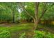 Sprawling backyard with mature trees and lush green lawn, great for outdoor activities at 113 Essex Dr, Summerville, SC 29485