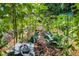 Lush garden with rows of leafy cabbages, offering fresh produce and a tranquil outdoor space at 1158 Shoreside Way, Mount Pleasant, SC 29464