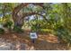 Picturesque park landscape featuring a large tree and a historical sign at 130 River Landing Dr # 3202, Charleston, SC 29492