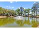 Picturesque pond with a fountain surrounded by lush greenery and trees at 130 River Landing Dr # 3202, Charleston, SC 29492