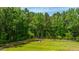 Elevated view of spacious backyard, featuring a cozy fire pit area, lush greenery, and wooded surroundings at 1375 Tannanger Trl, Awendaw, SC 29429