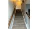 Carpeted staircase featuring wooden handrails and white trim, adding a touch of elegance to the home at 1401 Dabbling Duck Dr, Summerville, SC 29483