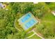 Overhead view of community tennis courts in wooded area with walkway at 143 Belleplaine Dr, Goose Creek, SC 29445