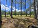 Large, flat backyard with mature trees and a serene pond perfect for outdoor activities and enjoying nature at 3113 Edenvale Rd, Johns Island, SC 29455