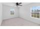 Bright bedroom with large windows and carpeted floors provides natural light and a comfortable feel at 320 Blue Shadows Ct, Summerville, SC 29486