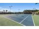 Community tennis courts with shade structure, multiple tennis nets, and trees at 740 Blue Iris Way, Summerville, SC 29486