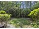 Lush green backyard featuring plenty of trees and well-maintained lawn at 9019 Parlor Dr, Ladson, SC 29456