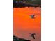 An egret is shown in flight with it's reflection against a bright orange sky at 1273 Locals St, Summerville, SC 29485