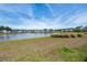 Community pond with homes in the background and grassy lawn in the foreground at 130 Stagecoach Ave, Summerville, SC 29486