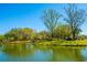 Picturesque view of a tranquil pond with a charming bridge surrounded by mature trees at 1543 Wando Landing St, Charleston, SC 29492