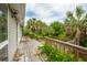 Wood deck with lush greenery and palm trees in the background at 3109 Ion Ave, Sullivans Island, SC 29482