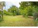View of the grassy backyard with palm trees and surrounding green foliage at 3109 Ion Ave, Sullivans Island, SC 29482