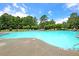 Large community pool featuring lounge chairs and umbrellas surrounded by mature trees at 423 Watershed Dr, Goose Creek, SC 29445