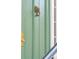 Close-up of the exterior, green-colored front door with a beautiful lion knocker at 43 Hasell St, Charleston, SC 29401