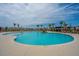 Large pool with a shallow area and chairs, surrounded by palm trees in a beautiful community at 430 Pender Woods Dr, Summerville, SC 29486