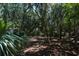 Lush backyard showcasing the vibrant greenery, creating a private, serene outdoor space at 554 Double Eagle Trce, Seabrook Island, SC 29455