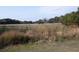 Sprawling pasture view with horses grazing in the distance near the tree line at 554 Double Eagle Trce, Seabrook Island, SC 29455
